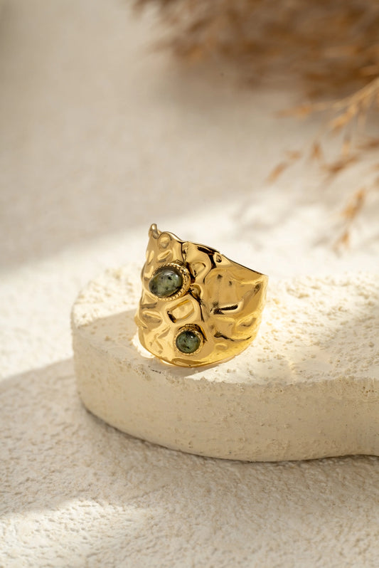 Anello Terra Duo in Acciaio Inossidabile Oro con Inserti Decorativi